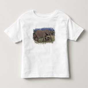Camiseta África, Quênia, Parque Nacional de Amboseli. Afric