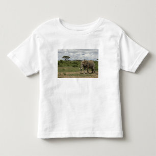 Camiseta África, Quénia, Parque Nacional de Amboseli, elefa
