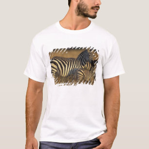 Camiseta África, Quênia, Reserva de Caça Masai Mara. Planíc