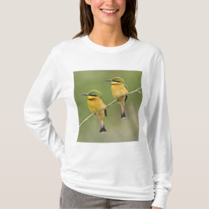 Camiseta África. Tanzânia. Abelharinhos em Manyara