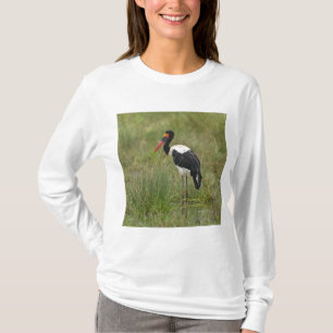 Camiseta África. Tanzânia. Cegonha-de-bico-vermelho macho