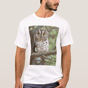 Camiseta África. Tanzânia. Coruja-de-moçambique em Tarangir