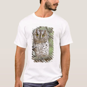 Camiseta África. Tanzânia. Corujinha-africana em Tarangire 