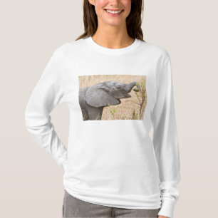 Camiseta África. Tanzânia. Elefante jovem em Tarangire
