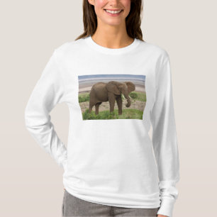 Camiseta África. Tanzânia. Elefante no Parque Nacional do L