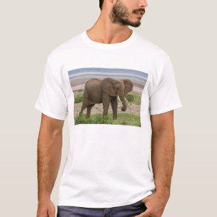 Camiseta África. Tanzânia. Elefante no Parque Nacional do L
