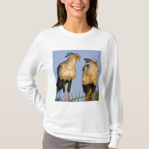 Camiseta África. Tanzânia. Secretaria de Aves em Ndutu