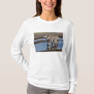 Camiseta África. Tanzânia. Zebras bebendo em Ndutu