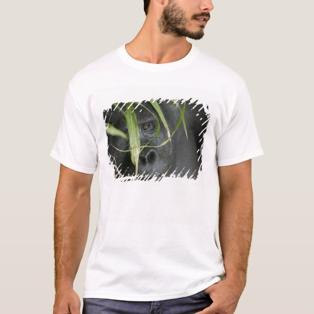 Camiseta África, Uganda, Bwindi (Frente)