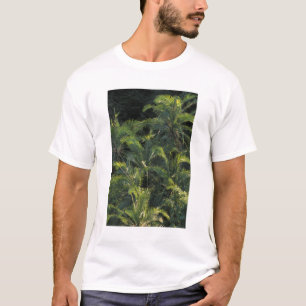 Camiseta África, Zâmbia, Parque Nacional Mosi-Oa-Tunya,