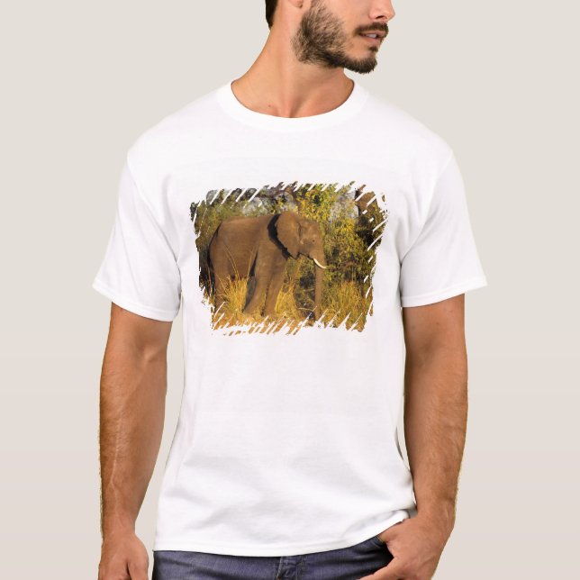Camiseta África, Zimbábue, Victoria Falls National Park. (Frente)