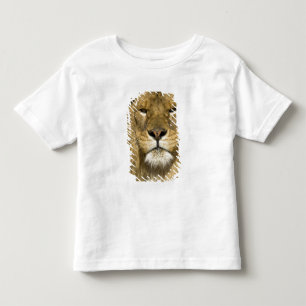 Camiseta African Barbary Lion, Panthera leo leo, um dos