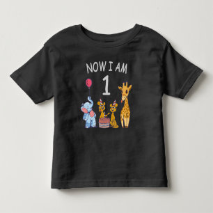 Camiseta Agora eu tenho 1 ano de idade 1º Aniversário no Zo