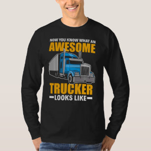 Camiseta Agora Você Sabe Que Um Caminhoneiro Incrível Parec
