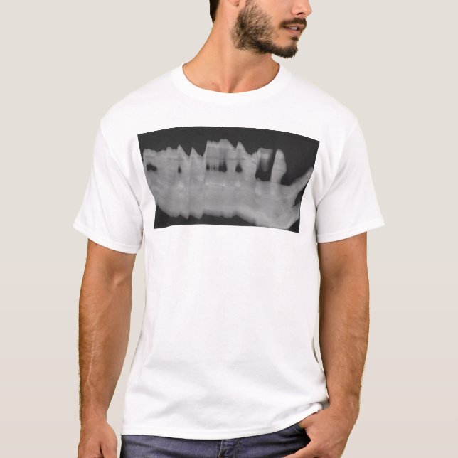 Camiseta agridoce 1 (Frente)