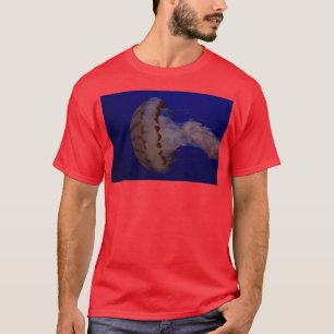 Camiseta Água-viva no Aquário de Monterey Bay 1
