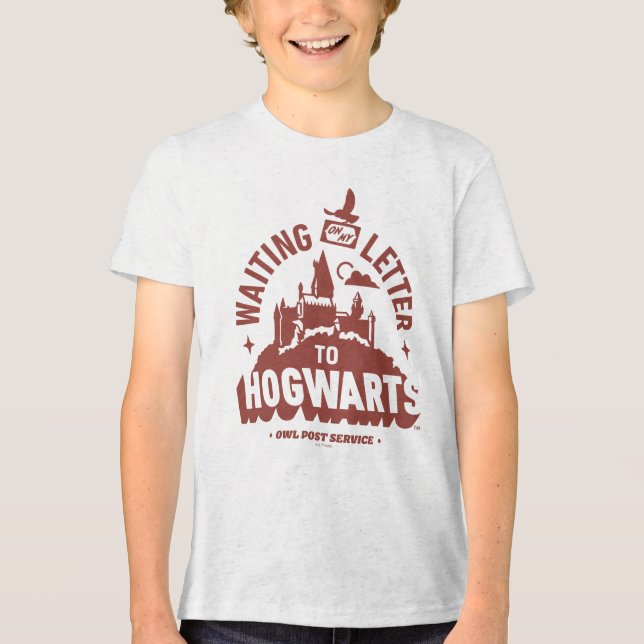 Camiseta Aguardando minha Carta para HOGWARTS™ (Frente)