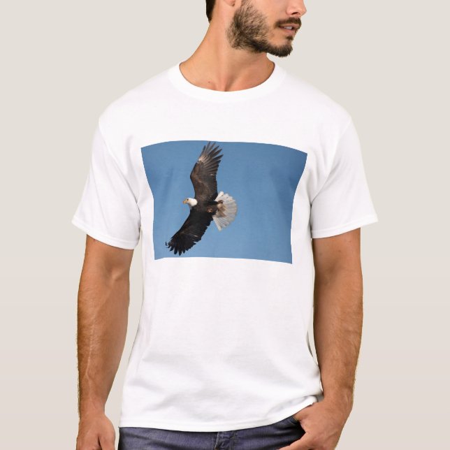 Camiseta Águia Americana em Voo (Frente)