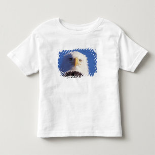 Camiseta águia americana, Haliaeetus leucocephalus, foto da