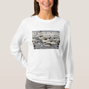 Camiseta Águia Americana, Haliaeetus leucocephalus, Homer,