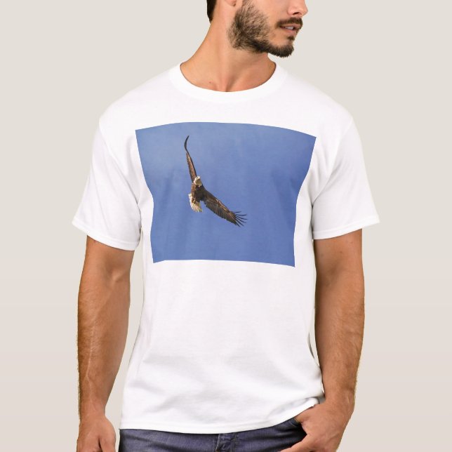Camiseta Águia Bald Soaring (Frente)