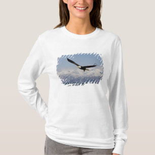Camiseta Águia Balda em Voo, Haliaeetus leucocephalus, 3
