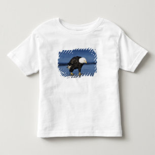 Camiseta Águia-careca