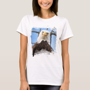 Camiseta Águia Careca Engraçada Olha Fixamente Vida Selvage
