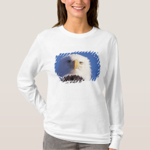 Camiseta águia-careca, Haliaeetus leucocephalus, foto da ca