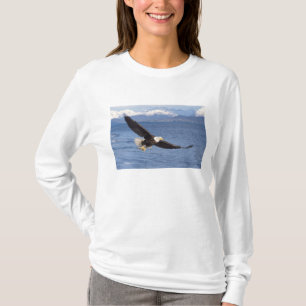 Camiseta águia-careca, Haliaeetus leucocephalus, no voo 4