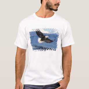 Camiseta águia-pescadora, Haliaeetus leuccocephalus, em voo