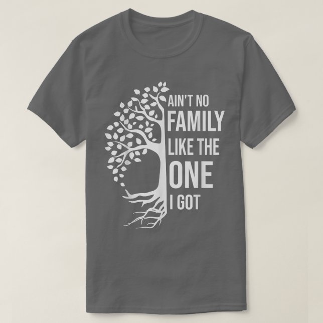 Camiseta Aint No Family Like The One I Got Funny Family Reu (Frente do Design)