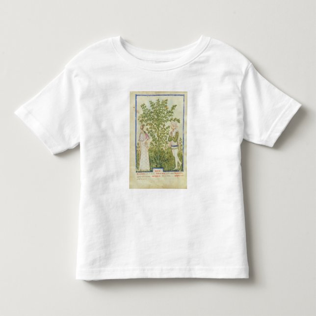 Camiseta Aipo do Lat de Nouv Acq, 'de Tacuinum Sanitatis (Frente)