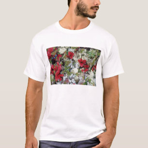 Camiseta Alasca, Parque Nacional Denali, a tundra ártica é