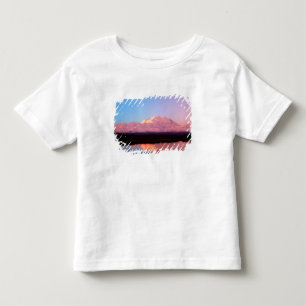 Camiseta Alasca, Parque Nacional Denali, Mt. McKinley em