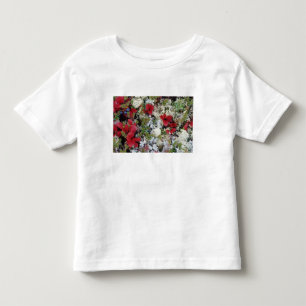 Camiseta Alasca, Parque Nacional Denali, Tundra Ártica é
