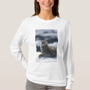 Camiseta Alasca, região sudeste Foca-do-porto no gelo