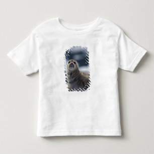 Camiseta Alasca, região sudeste Foca-do-porto no gelo