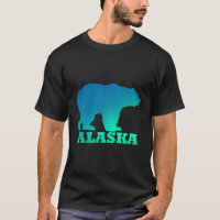 Alaska Bear Norte Luz Aurora Borealis Natureza