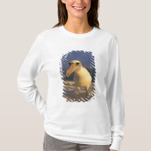 Camiseta Albatroz-de-laysan, Diomedea immutabilis),