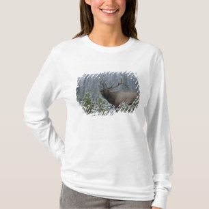 Camiseta Alce macho na neve chamando, bugling, Yellowstone