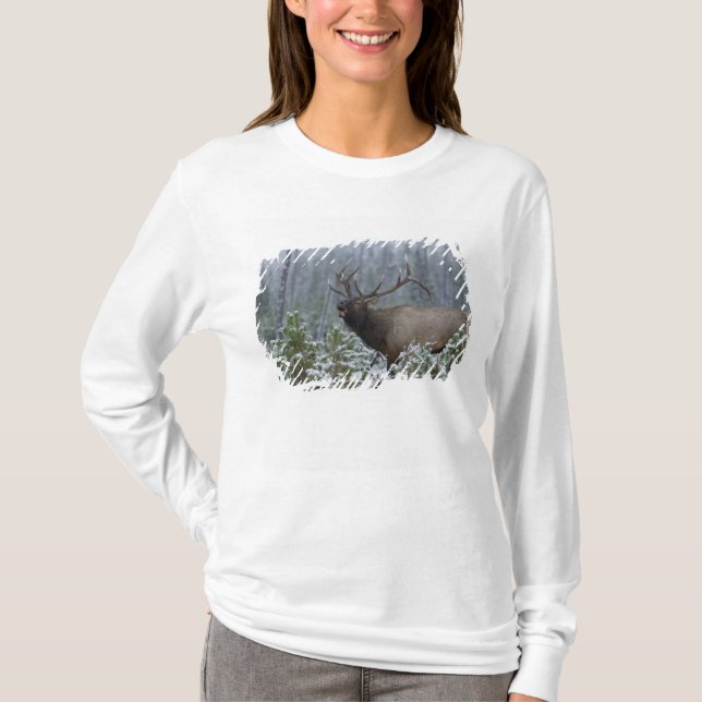 Camiseta Alce macho na neve chamando, bugling, Yellowstone (Frente)