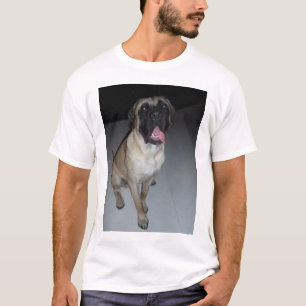 CAMISETA ALCES