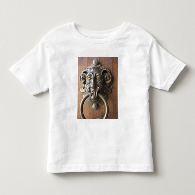 Camiseta Aldrava na Neue Residenz (Frente)