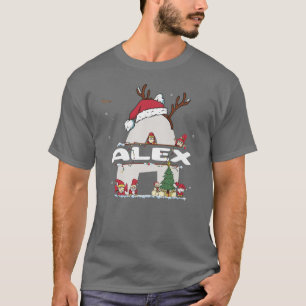 Camiseta Ale Christmasw Ale Name para xmas engraçados