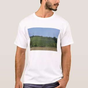 Camiseta Alemanha, Francônia, Rothenburg. Vista ao longo da