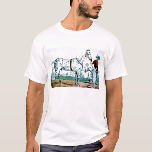 Camiseta Alexander the cavalo, EUA 1840