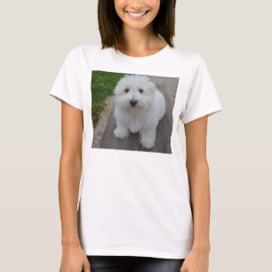 Camiseta algodão de tulear no banco