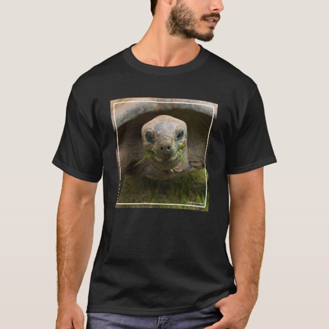 Camiseta Alimentação da tartaruga de Aldabra (Frente)