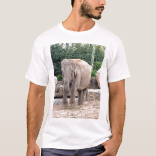 Camiseta Alimentação de elefantes indianos